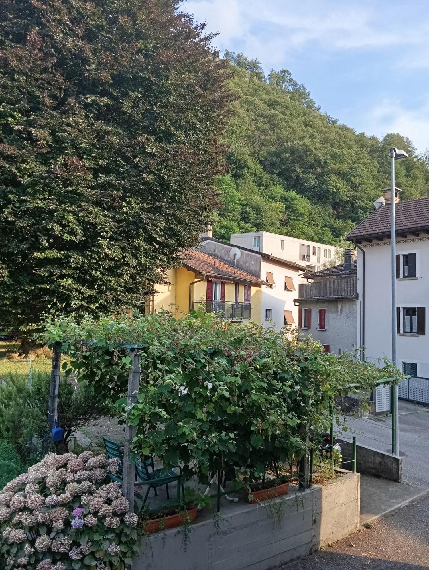 Villa Minicasa Kanton Kanton Bellinzona Exterior foto