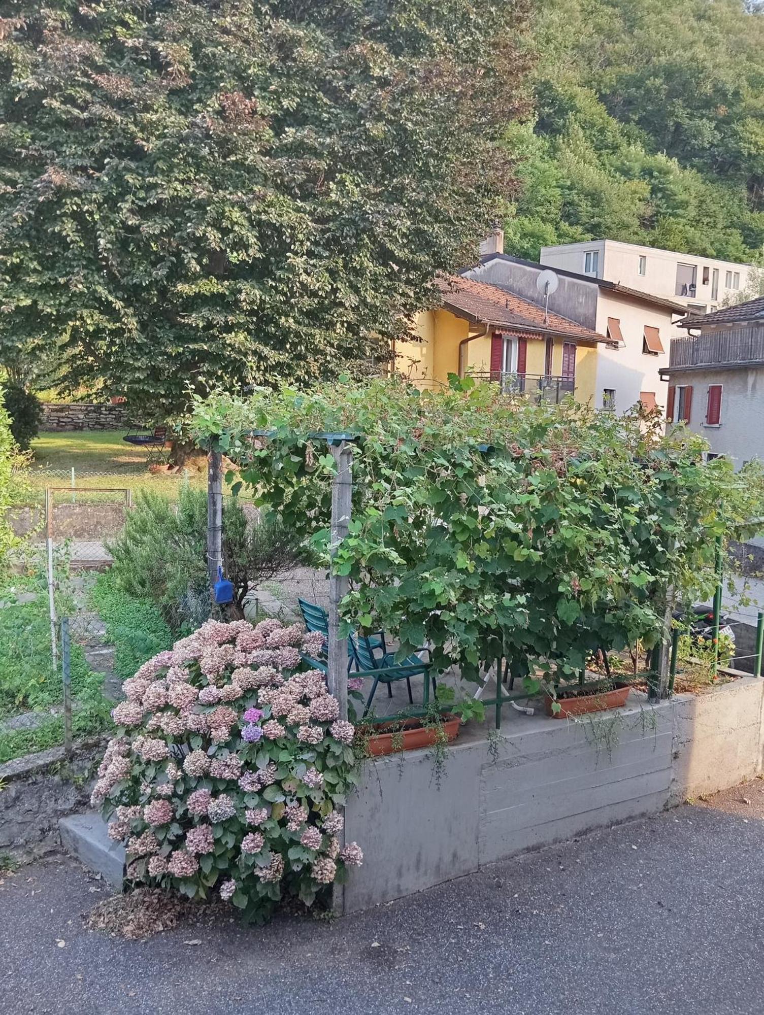 Villa Minicasa Kanton Kanton Bellinzona Exterior foto